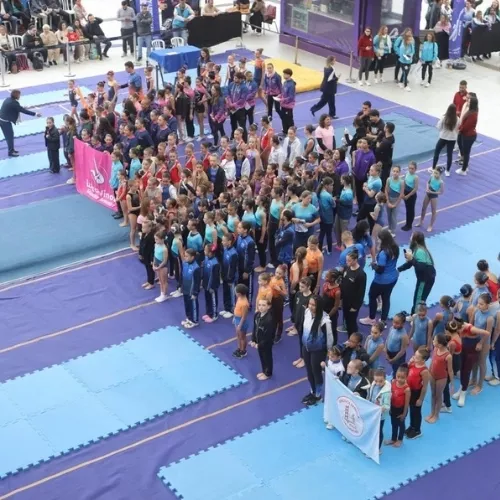 Copa Estadual de Ginástica Artística
